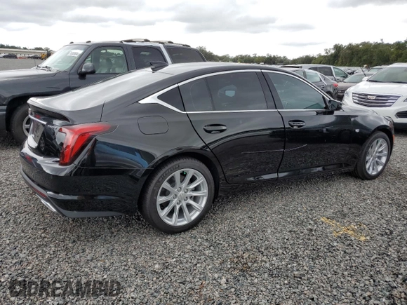 2024 Cadillac CT5 Luxury with VIN 1G6DM5RK1R0106920, listed as a Copart auction lot 74776684 with 5,501 mi miles and Salvage title. Bid and sale history available at DreamBid. Image 3.