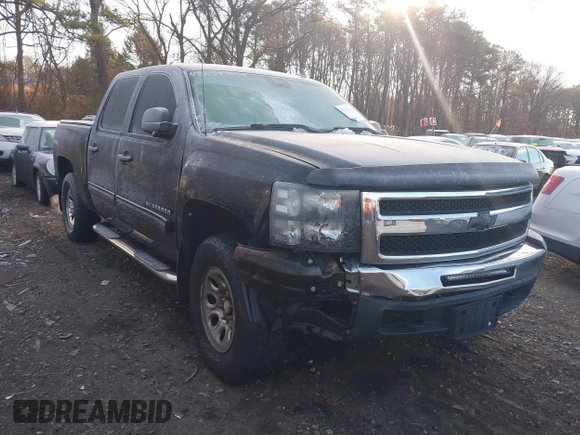 2010 Chevrolet Silverado 1500 LS with VIN 3GCRKREA9AG151200, listed as a IAAI auction lot 41172064 with 113,662 mi miles. Bid and sale history available at carsss.com. Image 1.