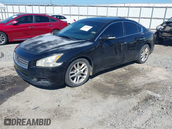 2010 Nissan Maxima SV with VIN 1N4AA5AP1AC802136, listed as a IAAI auction lot 41655417 with 236,285 mi miles and . Bid and sale history available at DreamBid. Image 17.