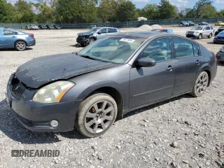 2006 Nissan Maxima 3.5 SE with VIN 1N4BA41EX6C842106, listed as a Copart auction lot 73371904 with 176,934 mi miles and Salvage Title. Bid and sale history available at carsss.com. Image 1.