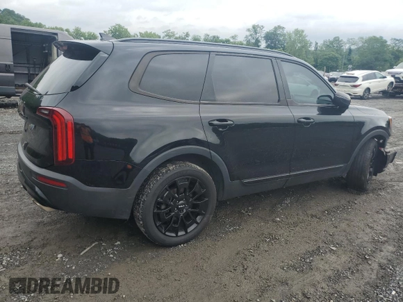 2022 Kia Telluride EX with VIN 5XYP3DHC5NG207139, listed as a Copart auction lot 60104755 with 101,632 mi miles and Salvage title. Bid and sale history available at DreamBid. Image 3.