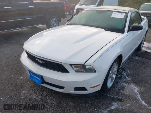 2010 Ford Mustang V6 с VIN 1ZVBP8EN8A5177825, выставлен на аукционе IAAI как лот 41828793 с пробегом Не указан миль и . История ставок и продаж доступна на DreamBid. Изображение 2.