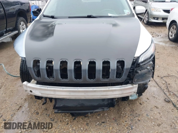 2017 Jeep Cherokee Latitude with VIN 1C4PJLCB5HW514171, listed as a IAAI auction lot 41572117 with 110,632 mi miles and . Bid and sale history available at DreamBid. Image 12.