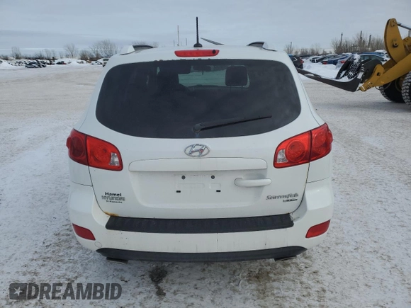 2009 Hyundai Santa Fe GL with VIN 5NMSG13E99H318861, listed as a Copart auction lot 46081195 with 294,793 mi miles and Clean title. Bid and sale history available at DreamBid. Image 6.