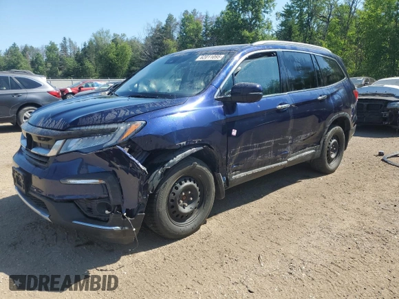 2020 Honda Pilot Touring 7-Passenger with VIN 5FNYF6H60LB501439, listed as a Copart auction lot 62011095 with Not provided miles and Salvage title. Bid and sale history available at DreamBid. Image 1.