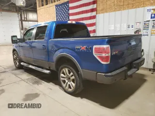 2009 Ford F-150 XL with VIN 1FTPW14V09KB58851, listed as a Copart auction lot 60174025 with 209,055 mi miles and Clean title. Bid and sale history available at DreamBid. Image 2.