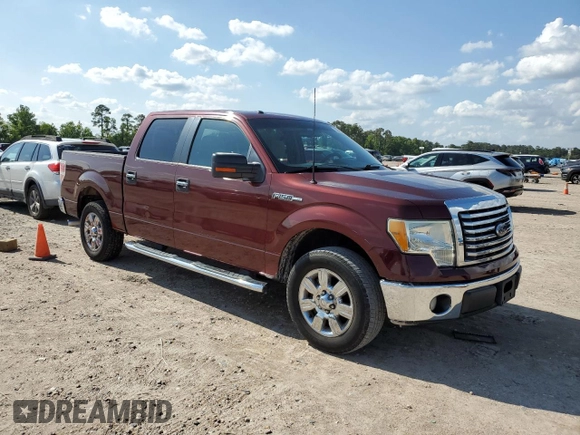 2010 Ford F-150 XL with VIN 1FTEW1C87AFD03660, listed as a Copart auction lot 53925855 with 252,174 mi miles and Clean Title. Bid and sale history available at DreamBid. Image 4.