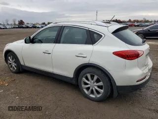 2009 Infiniti EX Journey with VIN JNKAJ09F09M950596, listed as a Copart auction lot 76023074 with 299,188 mi miles and Clean Title. Bid and sale history available at carsss.com. Image 2.