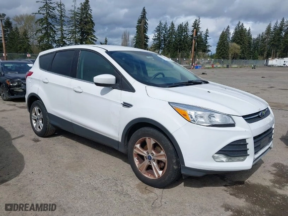 2015 Ford Escape SE with VIN 1FMCU0GX6FUA94161, listed as a IAAI auction lot 41976460 with 261,088 mi miles. Bid and sale history available at carsss.com. Image 1.
