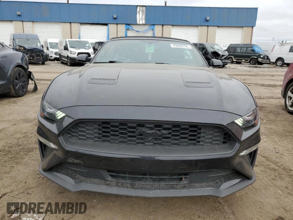 2019 Ford Mustang EcoBoost with VIN 1FATP8UH1K5196047, listed as a Copart auction lot 43608795 with 62,570 mi miles and Salvage Title. Bid and sale history available at carsss.com. Image 5.