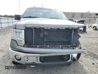 2010 Ford F-150 XL with VIN 1FTFX1EV0AFD15024, listed as a Copart auction lot 45851565 with 164,712 mi miles and Salvage Title. Bid and sale history available at DreamBid. Image 5.