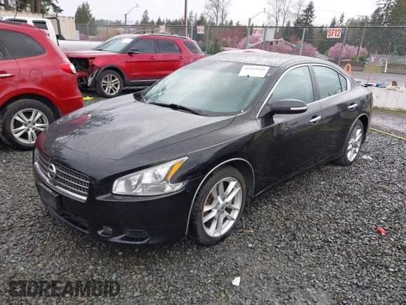 2009 Nissan Maxima SV with VIN 1N4AA51E39C856967, listed as a IAAI auction lot 41919510 with 231,933 mi miles and . Bid and sale history available at DreamBid. Image 17.