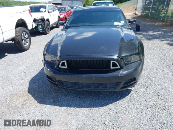 2013 Ford Mustang V6 with VIN 1ZVBP8AM9D5220487, listed as a IAAI auction lot 42189571 with 132,388 mi miles and . Bid and sale history available at DreamBid. Image 12.