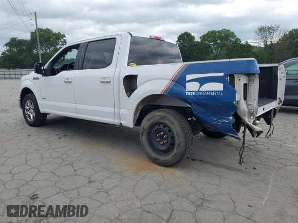 2016 Ford F-150 XL with VIN 1FTEW1CP9GKF08193, listed as a Copart auction lot 57269755 with 167,344 mi miles and Salvage title. Bid and sale history available at DreamBid. Image 2.