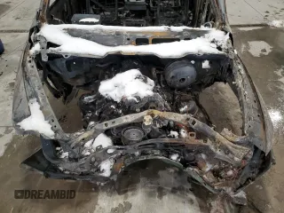 2010 Dodge 1500 SLT with VIN 1D7RV1CT1AS230050, listed as a Copart auction lot 44430295 with Not Provided miles and Salvage Title. Bid and sale history available at carsss.com. Image 12.
