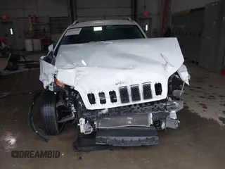 2019 Jeep Cherokee Limited with VIN 1C4PJLDB6KD114282, listed as a IAAI auction lot 41521581 with 111,475 mi miles and . Bid and sale history available at DreamBid. Image 13.