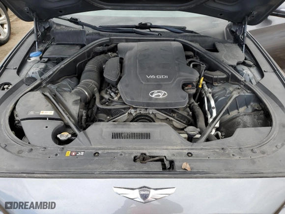 2016 Hyundai Genesis 3.8L with VIN KMHGN4JE3GU151012, listed as a Copart auction lot 49482285 with 232,334 mi miles and Salvage Title. Bid and sale history available at carsss.com. Image 11.