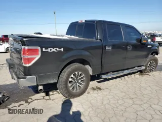 2013 Ford F-150 XL with VIN 1FTFW1EF9DKG29309, listed as a Copart auction lot 46171155 with 136,283 mi miles and Salvage title. Bid and sale history available at DreamBid. Image 3.