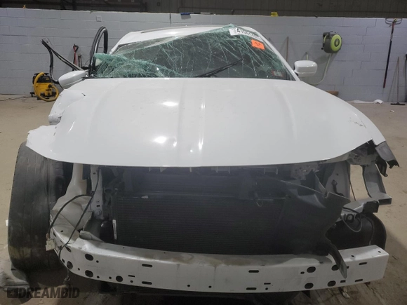 2017 Dodge Charger SXT with VIN 2C3CDXHGXHH650641, listed as a Copart auction lot 41561425 with 0 mi miles and Salvage Title. Bid and sale history available at carsss.com. Image 5.