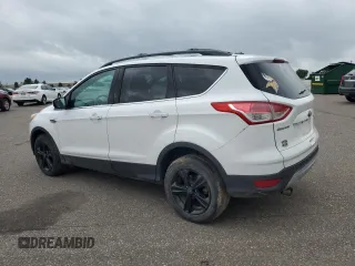 2013 Ford Escape SE with VIN 1FMCU9GX6DUD15646, listed as a Copart auction lot 59351195 with 185,667 mi miles and Salvage title. Bid and sale history available at DreamBid. Image 2.