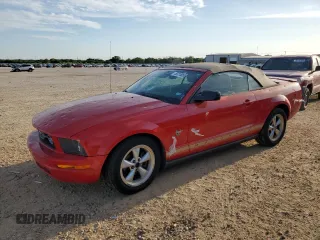 2009 Ford Mustang with VIN 1ZVHT84N295135184, listed as a Copart auction lot 53210055 with Not provided miles and Clean title. Bid and sale history available at DreamBid. Image 1.