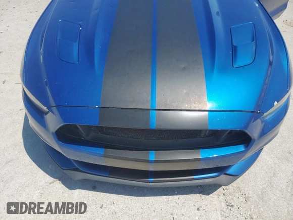 2017 Ford Mustang GT with VIN 1FA6P8CF3H5249806, listed as a Copart auction lot 61050375 with 106,198 mi miles and Clean title. Bid and sale history available at DreamBid. Image 11.