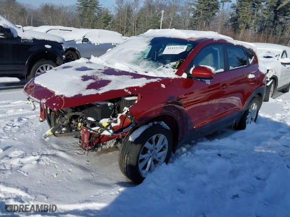 2019 Hyundai Tucson SE with VIN KM8J2CA44KU981393, listed as a IAAI auction lot 41455334 with 98,318 mi miles. Bid and sale history available at carsss.com. Image 2.