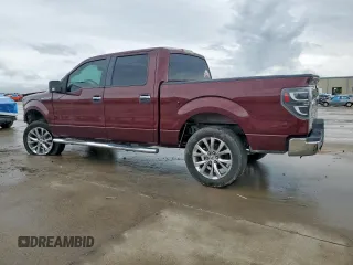 2009 Ford F-150 XL with VIN 1FTRW128X9FA32446, listed as a Copart auction lot 60648505 with 210,587 mi miles and Salvage title. Bid and sale history available at DreamBid. Image 2.