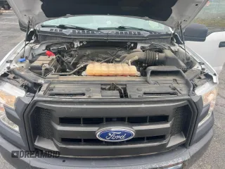 2017 Ford F-150 XL z VIN 1FTEX1E83HFA54391, wystawiony jako Copart lot #49659815 z przebiegiem 199 000 mil mil oraz Czysty tytuł • Clean title. Historia ofert i sprzedaży dostępna na DreamBid. Obrazek 7.