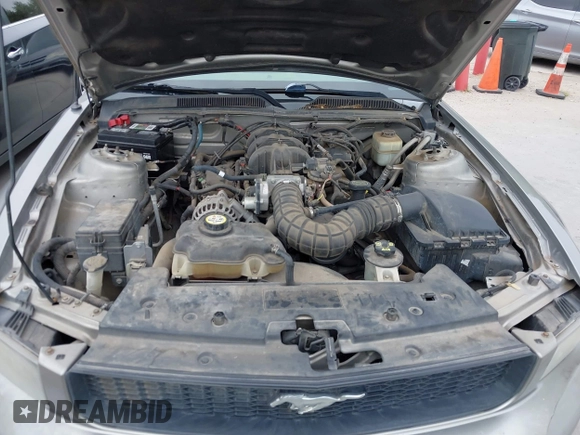 2008 Ford Mustang Deluxe with VIN 1ZVHT80N485143307, listed as a IAAI auction lot 42661093 with 155,133 mi miles and . Bid and sale history available at DreamBid. Image 10.