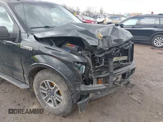 2016 Ford F-150 XLT with VIN 1FTFX1EF5GFC08651, listed as a IAAI auction lot 41898070 with 175,306 mi miles and . Bid and sale history available at carsss.com. Image 17.