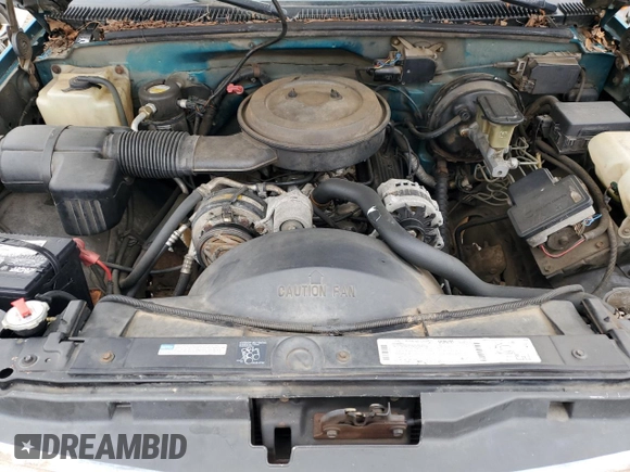 1995 Chevrolet Silverado 1500 with VIN 1GCEK14K0SZ257742, listed as a Copart auction lot 42437355 with 183,760 mi miles and Salvage Title. Bid and sale history available at DreamBid. Image 12.