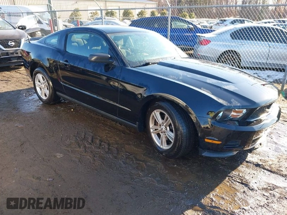 2011 Ford Mustang V6 with VIN 1ZVBP8AM9B5134934, listed as a IAAI auction lot 41417021 with 67,413 mi miles and . Bid and sale history available at carsss.com. Image 1.