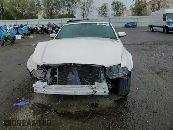 2013 Ford Mustang V6 с VIN 1ZVBP8EM3D5229423, выставлен на аукционе Copart как лот 63801765 с пробегом 242 229 миль миль и Списание • Salvage title. История ставок и продаж доступна на DreamBid. Изображение 14.