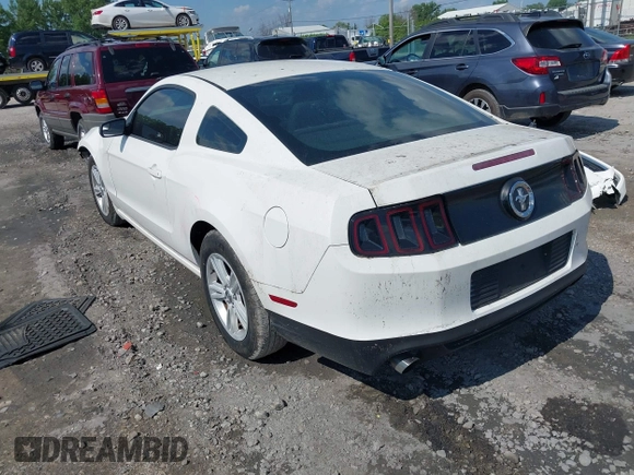 2013 Ford Mustang V6 with VIN 1ZVBP8AM5D5265880, listed as a IAAI auction lot 42617490 with 99,638 mi miles and . Bid and sale history available at DreamBid. Image 3.
