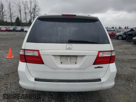 2005 Honda Odyssey EX-L with VIN 5FNRL38655B000691, listed as a Copart auction lot 47814195 with 233,384 mi miles and Clean Title. Bid and sale history available at carsss.com. Image 6.