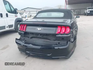 2023 Ford Mustang EcoBoost with VIN 1FATP8UH9P5103685, listed as a IAAI auction lot 42166827 with 49,204 mi miles. Bid and sale history available at carsss.com. Image 17.
