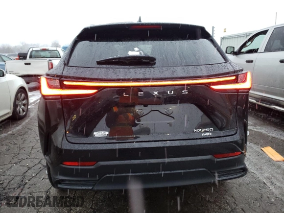 2023 Lexus NX with VIN 2T2ADCEZ9PC002696, listed as a Copart auction lot 38723733 with 350 mi miles. Bid and sale history available at carsss.com. Image 6.