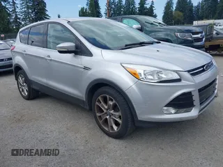 2013 Ford Escape SEL with VIN 1FMCU0HX5DUB53695, listed as a IAAI auction lot 42795881 with 165,330 mi miles and . Bid and sale history available at DreamBid. Image 1.