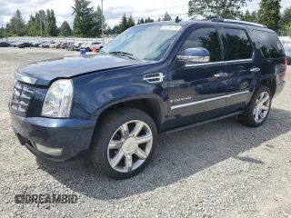 2008 Cadillac Escalade z VIN 1GYFK63878R240480, wystawiony jako Copart lot #60750275 z przebiegiem 133 248 mil mil oraz Szkoda całkowita • Salvage title. Historia ofert i sprzedaży dostępna na DreamBid. Obrazek 1.