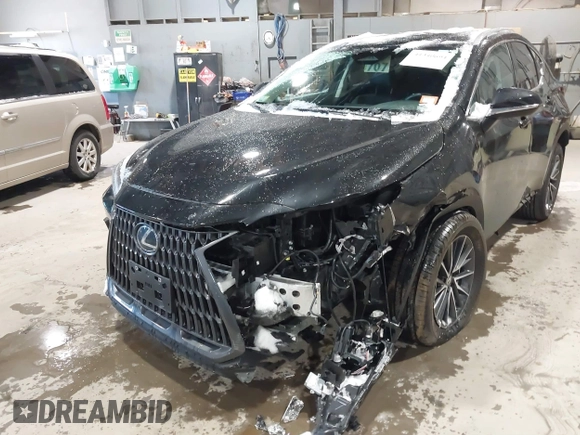 2024 Lexus NX with VIN 2T2AGCEZ5RC053557, listed as a IAAI auction lot 41340693 with 17,026 mi miles. Bid and sale history available at carsss.com. Image 6.