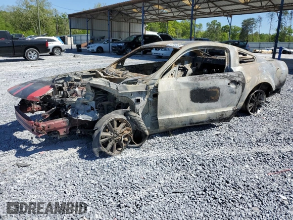 2005 Ford Mustang Deluxe with VIN 1ZVFT80N455159946, listed as a Copart auction lot 54315545 with Not provided miles and Non repairable. Bid and sale history available at DreamBid. Image 1.
