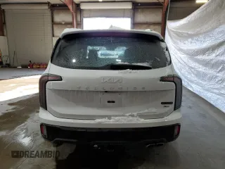 2024 Kia Telluride SX Prestige X-Line с VIN 5XYP5DGC3RG483384, выставлен на аукционе Copart как лот 41913045 с пробегом 13 462 миль миль и Списание • Salvage title. История ставок и продаж доступна на DreamBid. Изображение 6.