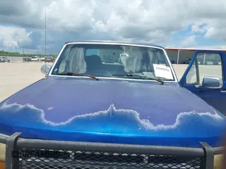 1997 Ford F-250 with VIN 1FTHW25F3VEC11651, listed as a IAAI auction lot 42608096 with Not provided miles and . Bid and sale history available at DreamBid. Image 6.