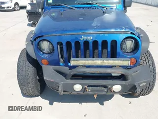 2010 Jeep Wrangler Sport with VIN 1J4AA2D11AL117404, listed as a IAAI auction lot 42012340 with 266,310 mi miles and . Bid and sale history available at carsss.com. Image 12.