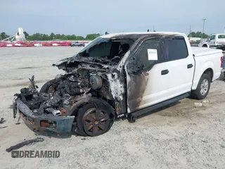 2019 Ford F-150 XL with VIN 1FTEW1C53KFC88713, listed as a IAAI auction lot 42053323 with Not Provided miles and . Bid and sale history available at carsss.com. Image 2.