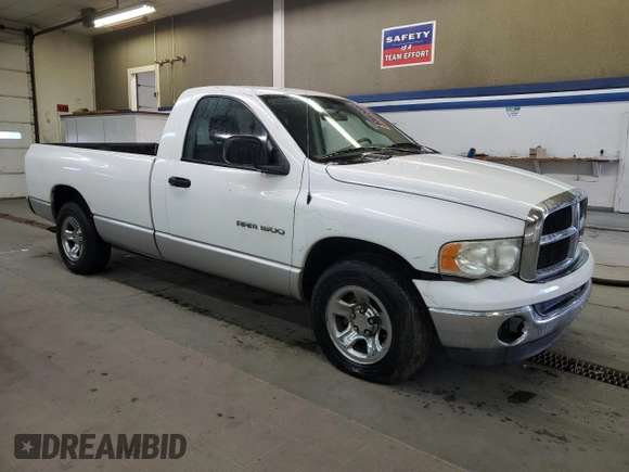2005 Dodge 1500 SLT with VIN 1D7HA16N45J510030, listed as a Copart auction lot 48669925 with 243,947 mi miles and Clean Title. Bid and sale history available at carsss.com. Image 4.