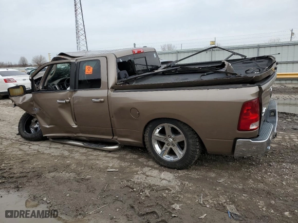 2010 Dodge Ram 1500 SLT with VIN 1D7RB1GT0AS165095, listed as a Copart auction lot 49572775 with 0 mi miles and Non Repairable. Bid and sale history available at carsss.com. Image 2.