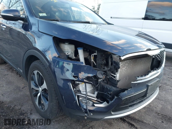 2016 Kia Sorento EX with VIN 5XYPHDA53GG183522, listed as a IAAI auction lot 41231974 with 96,360 mi miles. Bid and sale history available at carsss.com. Image 6.