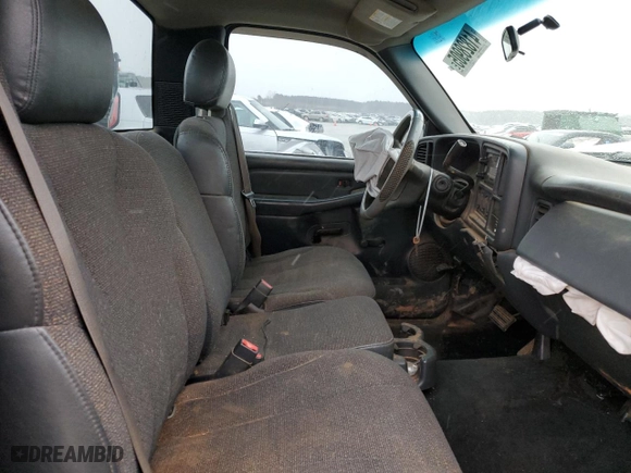 2002 Chevrolet Silverado 1500 LS with VIN 1GCEC14V02Z181060, listed as a Copart auction lot 41828905 with 0 mi miles and Salvage Title. Bid and sale history available at carsss.com. Image 10.